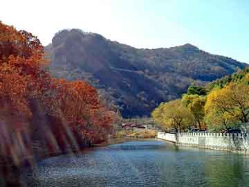 澳门二四六天天彩图库，茶风暴